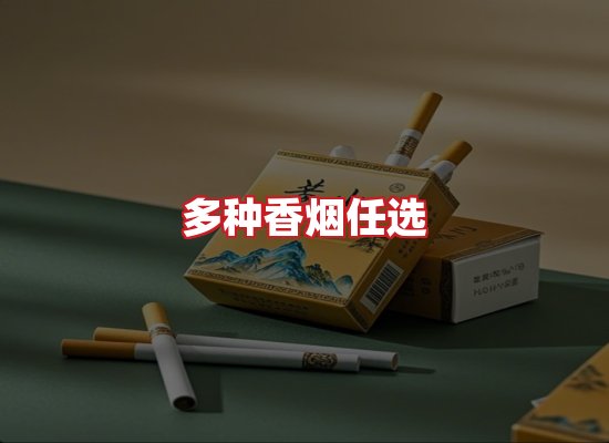 专业团队